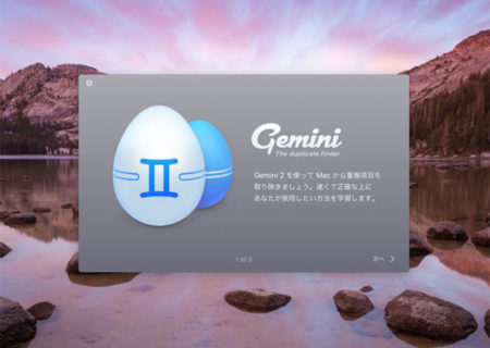 Gemini2